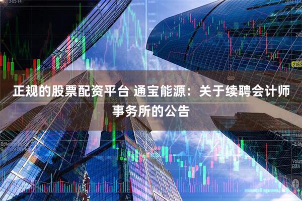 正规的股票配资平台 通宝能源：关于续聘会计师事务所的公告