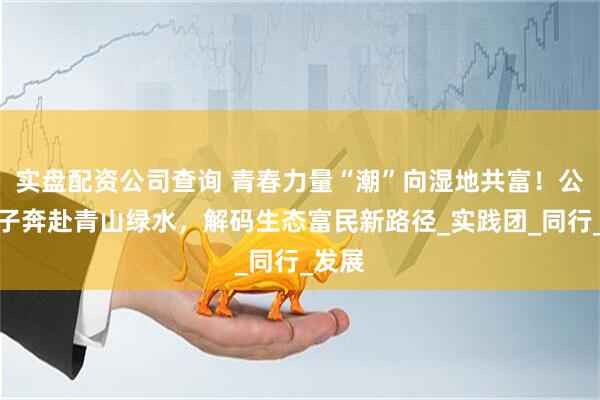 实盘配资公司查询 青春力量“潮”向湿地共富！公管学子奔赴青山绿水，解码生态富民新路径_实践团_同行_发展