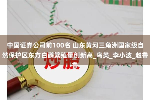 中国证券公司前100名 山东黄河三角洲国家级自然保护区东方白鹳繁殖量创新高_鸟类_李小波_赵鲁